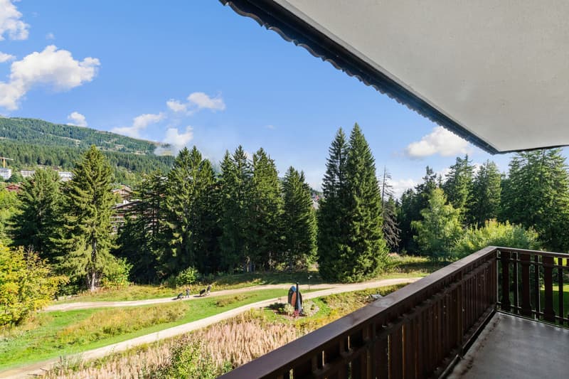 4006. Appartement 4.5pcs de standing, proche centre Crans (11)