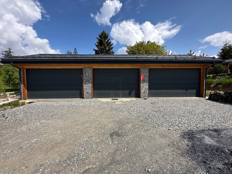6000.Vue panoramique / Projet Chalet à vendre à Sergnou /Crans-Montana (5)