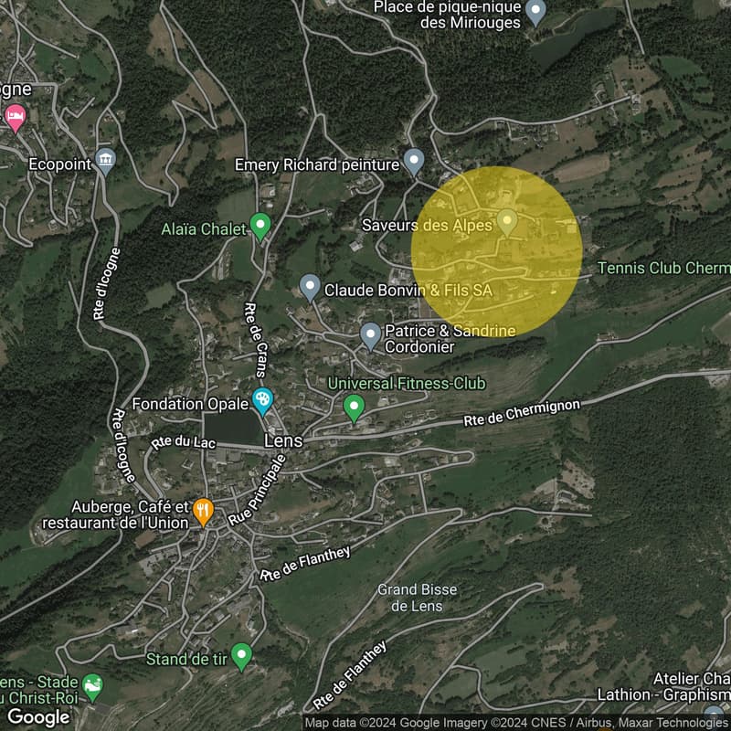 6000.Vue panoramique / Projet Chalet à vendre à Sergnou /Crans-Montana (13)