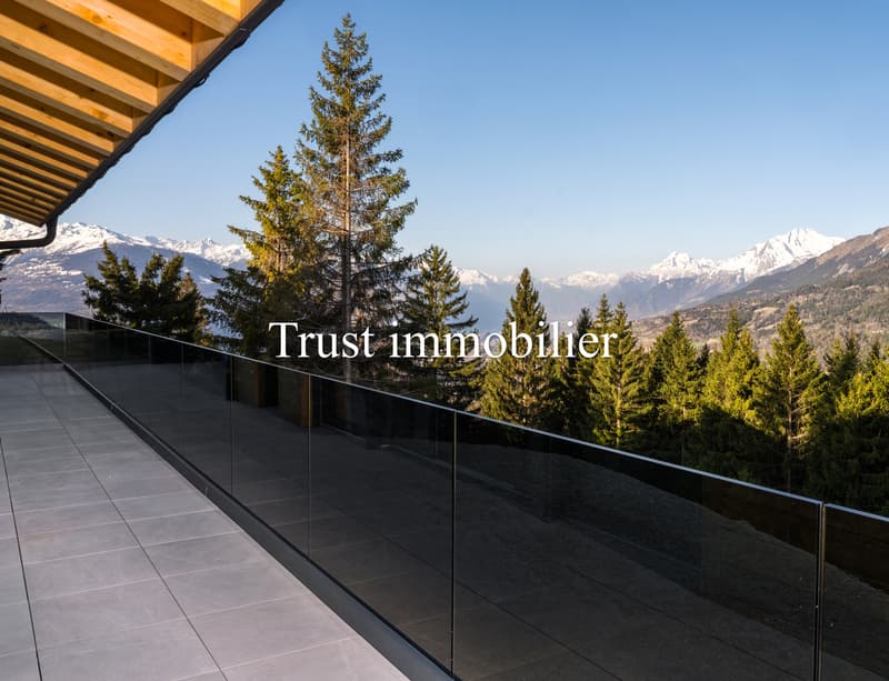 6018. Chalet neuf. Magnifique vue (11)