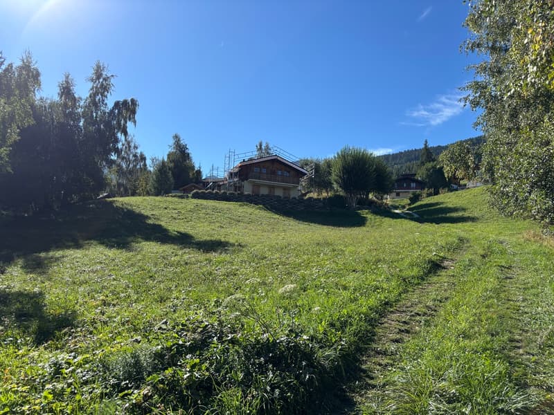 Grande Parcelle prête à accueillir votre futur chalet à La Tzoumaz (3)