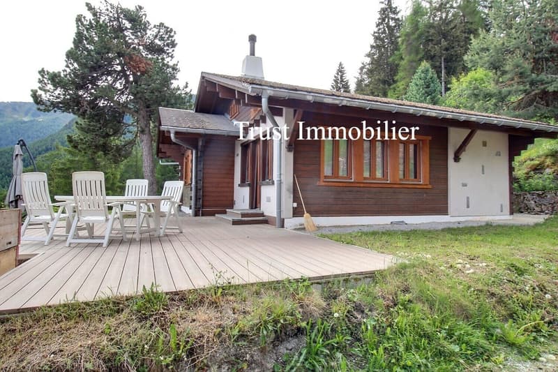 Chalet de 5.5 pièces un véritable refuge alpin au coeur de La Tzoumaz (9)