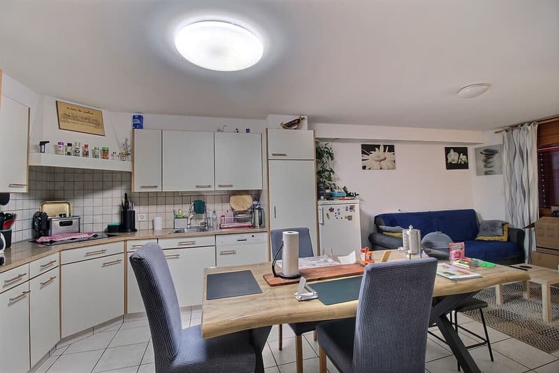 6012-MV-Maison villageoise de 3 appartements au coeur de Riddes (11)