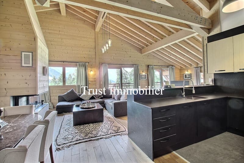 4002-MV-Gryon-Appartement luxueux (2)