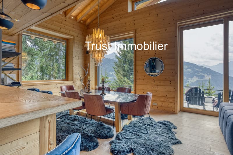 6001-MV-Gryon-Maison luxueuse de 450m2 (6)