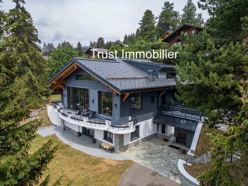 6001-MV-Gryon-Maison luxueuse de 450m2 (1)