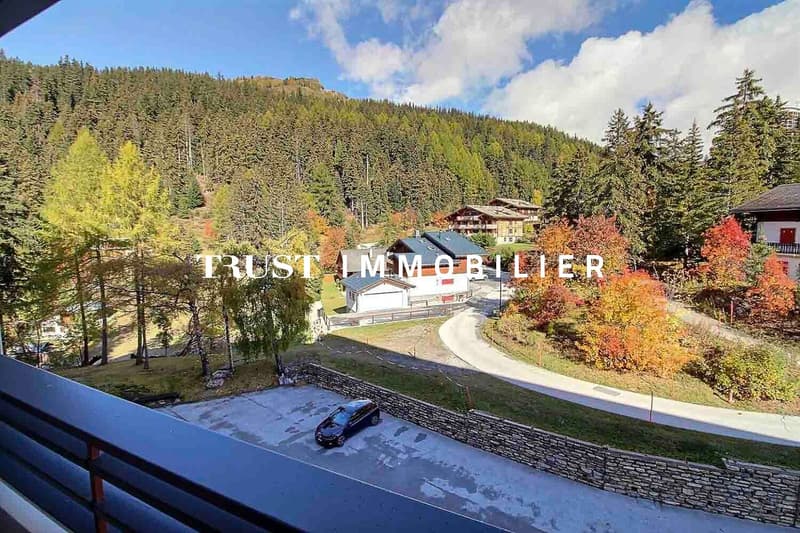 3002. En Exclusivité. Vue spectaculaire et proximité des pistes de ski (10)