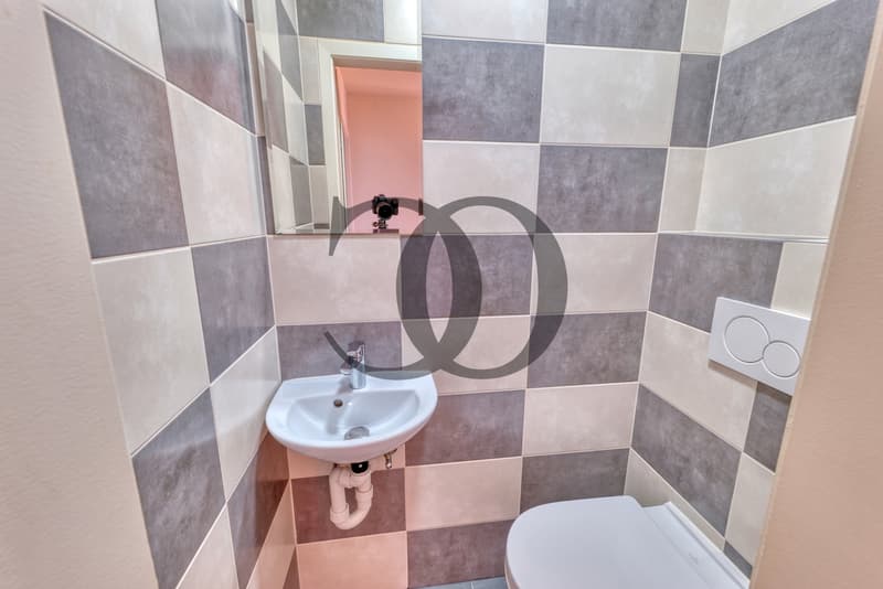 En exclusivité ! Appartement 2.5 pièces avec vue sur le lac (5)