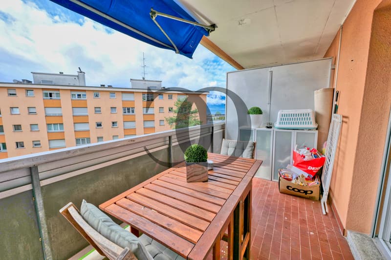 En exclusivité ! Appartement 2.5 pièces avec vue sur le lac (9)