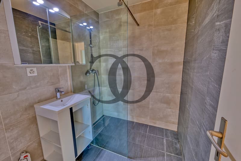 En exclusivité ! Appartement 2.5 pièces avec vue sur le lac (4)