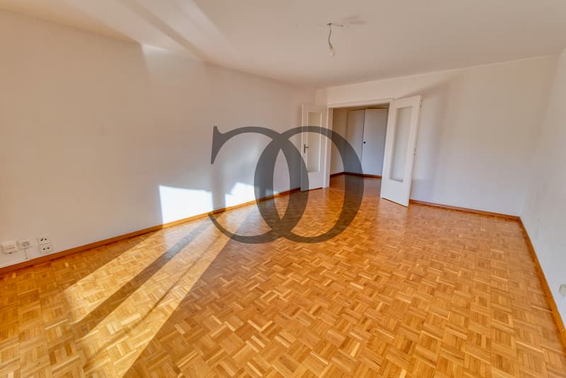 En exclusivité ! Appartement 2.5 pièces avec vue sur le lac (3)