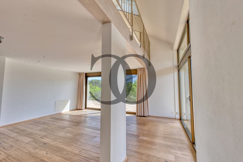Magnifique villa moderne avec terrasses privatives et jardin (6)