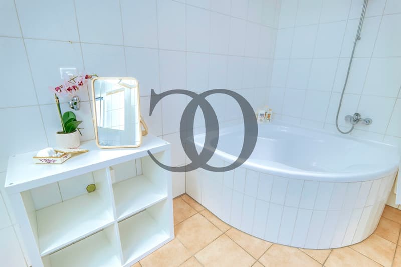 Appartement de 6,5 pièces avec piscine et terrasse de 200 m2 (6)