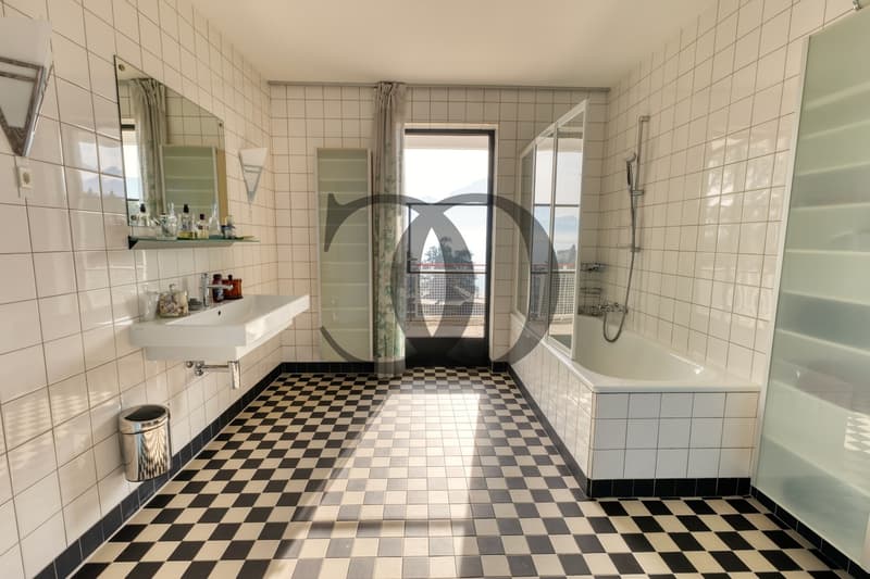 Villa de style Bauhaus (9)