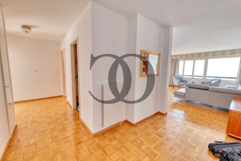 Appartement à rénover avec vue imprenable (8)