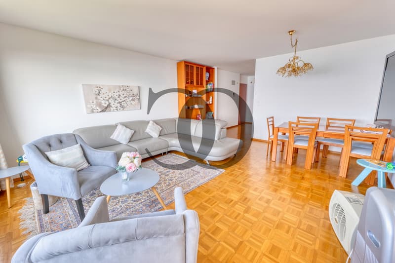 Appartement à rénover avec vue imprenable (4)