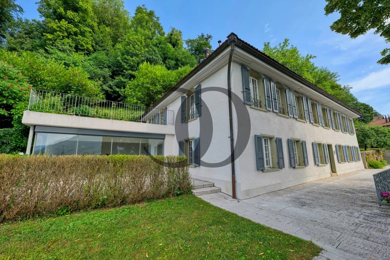 Magnifique maison aux Monts-de-Corsier rénovée en 2022 (2)