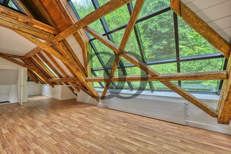 Magnifique maison aux Monts-de-Corsier rénovée en 2022 (10)