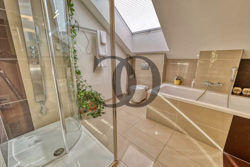 Superbe propriété familiale avec piscine (10)