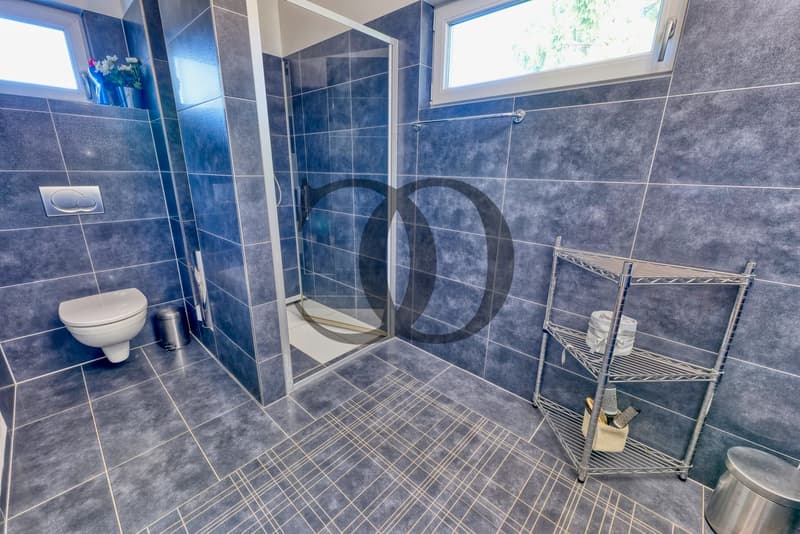 Superbe propriété familiale avec piscine (6)