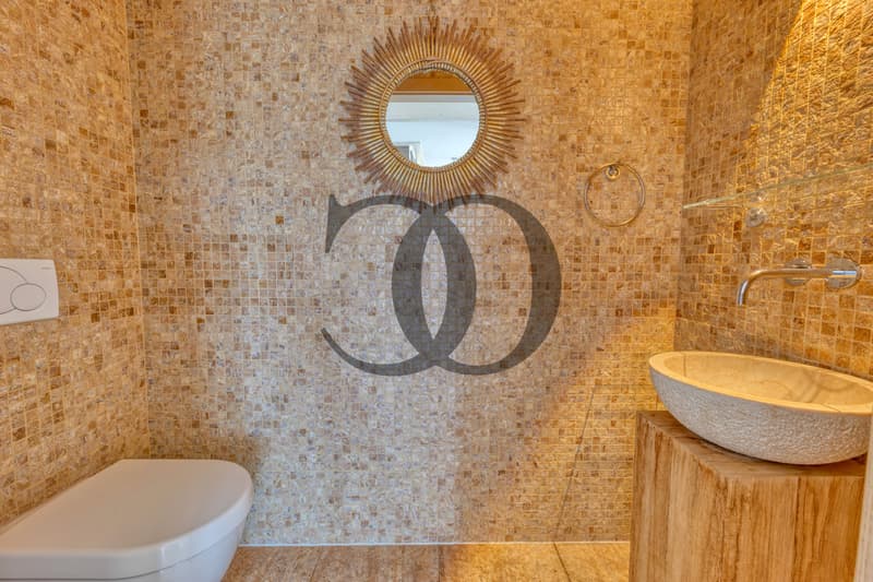 Magnifique villa moderne avec terrasses privatives et jardin (8)