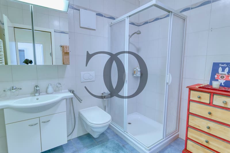 Appartement de 6,5 pièces avec piscine et terrasse de 200 m2 (10)