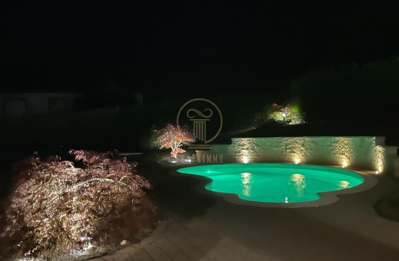 GRANCY - somptueuse maison de 2.5 pièces sur 3 niveaux avec piscine asymétrique (1)