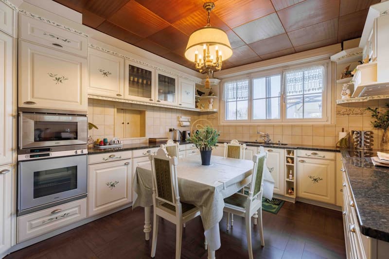 CROIX-SUR-LUTRY, superb master villa with 2810 m² of land and breathtaking views of the lake! (9)