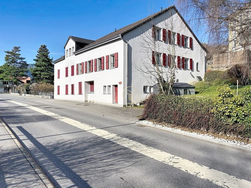 A BALLAIGUES - beautiful rental building with 5 apartments, 2 storage rooms and 9 parking spaces (2)