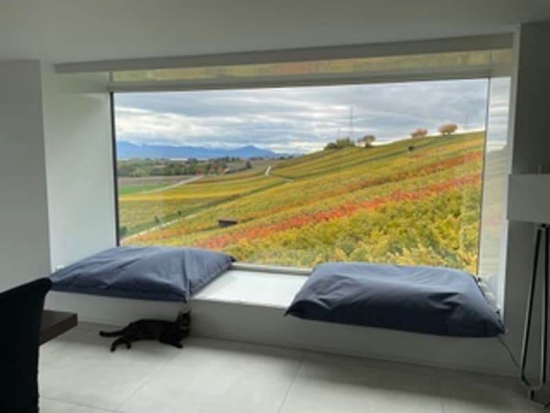 CLARMONT - Magnificent Architect-Designed Villa (9)