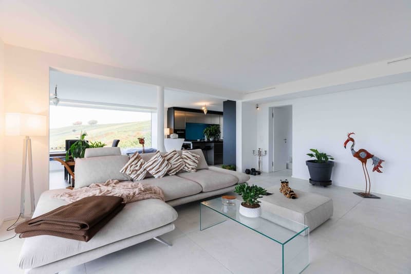 CLARMONT - Magnificent Architect-Designed Villa (11)