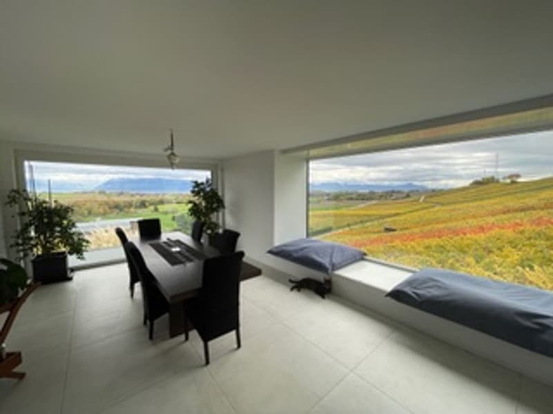 CLARMONT - Magnificent Architect-Designed Villa (8)