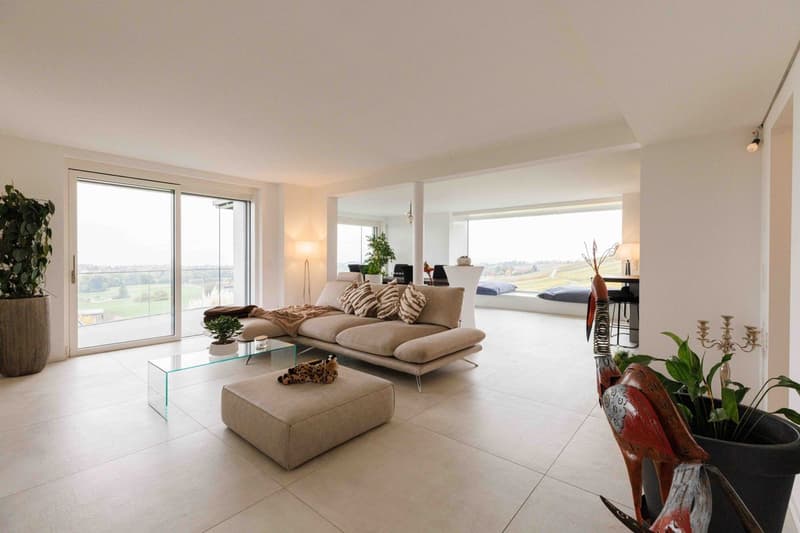 CLARMONT - Magnificent Architect-Designed Villa (12)