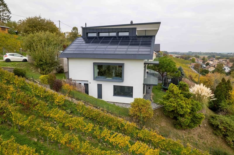 CLARMONT - Magnificent Architect-Designed Villa (2)