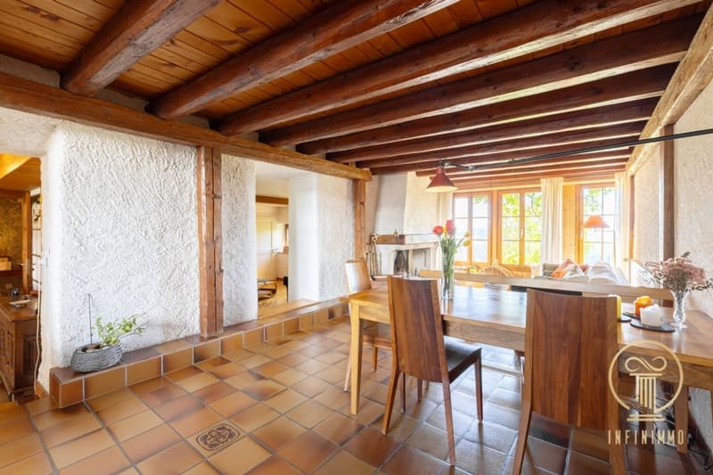 A 5 MIN DA ORBE - Bella fattoria completamente ristrutturata a Rances (8)