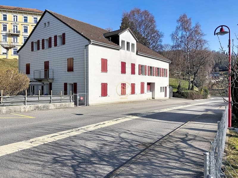 Ein BALAIGUES - schönes, sehr gut gepflegtes und renoviertes Gebäude mit 5 Wohnungen, 2 Lagerräumen und 9 Parkplätzen (3)