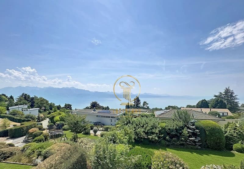 Vue Panoramique