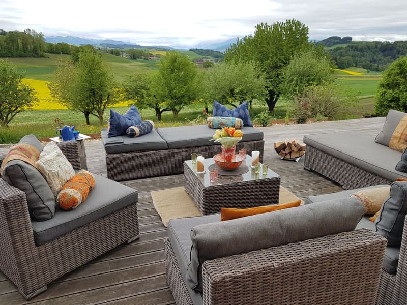 Chavannes-sur-Moudon - Magnificent villa for sale (8)