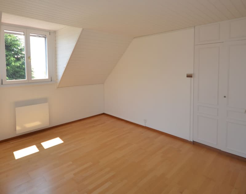 ZWEI VILLEN AM UFER DES GENFERSEES, MIT PRIVATEM ZUGANG ZUM SEE (8)