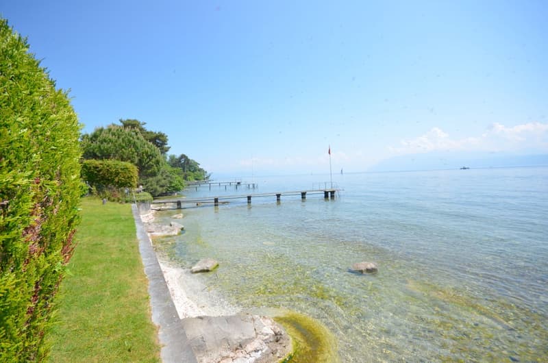 ZWEI VILLEN AM UFER DES GENFERSEES, MIT PRIVATEM ZUGANG ZUM SEE (12)