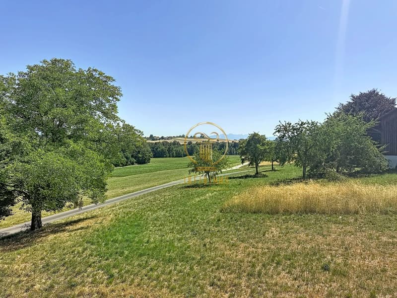 CARROUGE (VD), RARE OBJECT! Single-family house with 5.5 rooms and a view of the Moléson. (2)