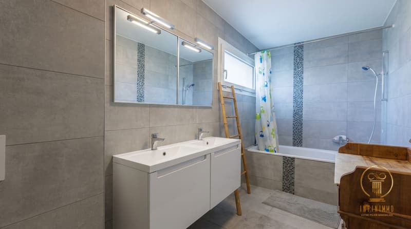 CARROUGE (VD), OBJET RARE ! Maison individuelle de 5.5 pièces avec vue sur le Moléson. (10)