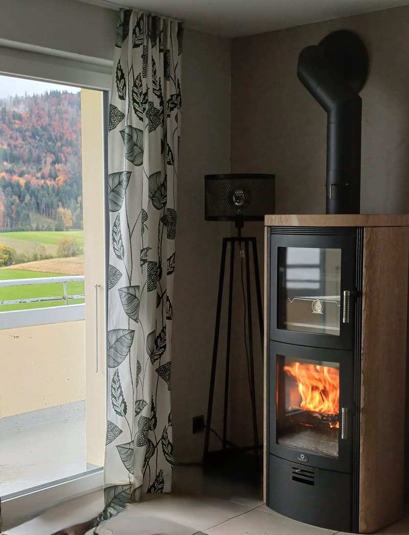 STE-CROIX - Magnifique appartement de 4.5 pièces en duplex avec vue dégagée (4)