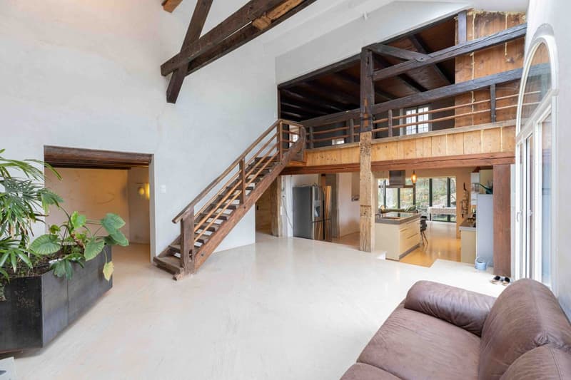 SULLENS, coup de coeur! Maison villageoise très bien rénovée à découvrir. (7)
