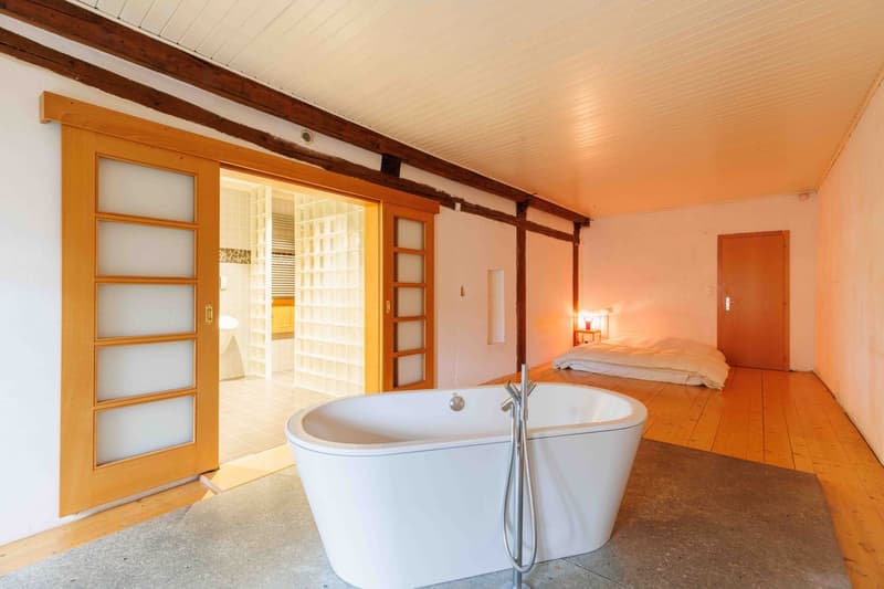 SULLENS, coup de coeur! Maison villageoise très bien rénovée à découvrir. (12)