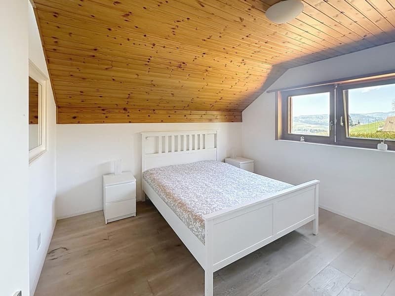 Chavannes-sur-Moudon - Magnifique villa à vendre (13)
