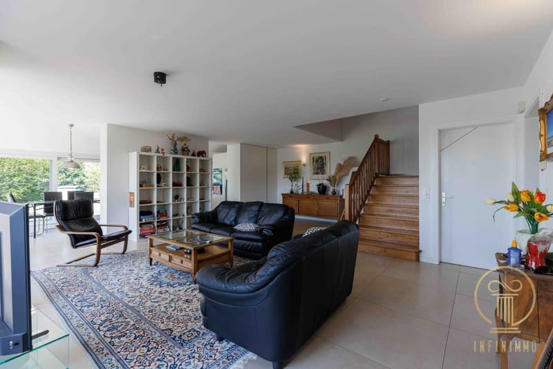 Chavannes-sur-Moudon - Magnifique villa à vendre (3)