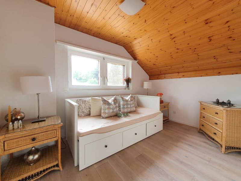 Chavannes-sur-Moudon - Magnifique villa à vendre (12)