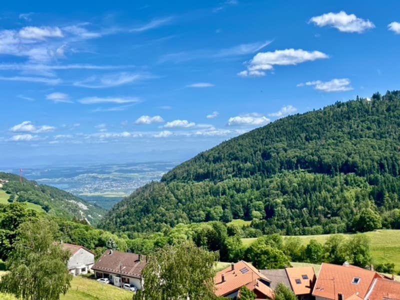 STE-CROIX - Magnifique appartement de 4.5 pièces en duplex avec vue dégagée (1)