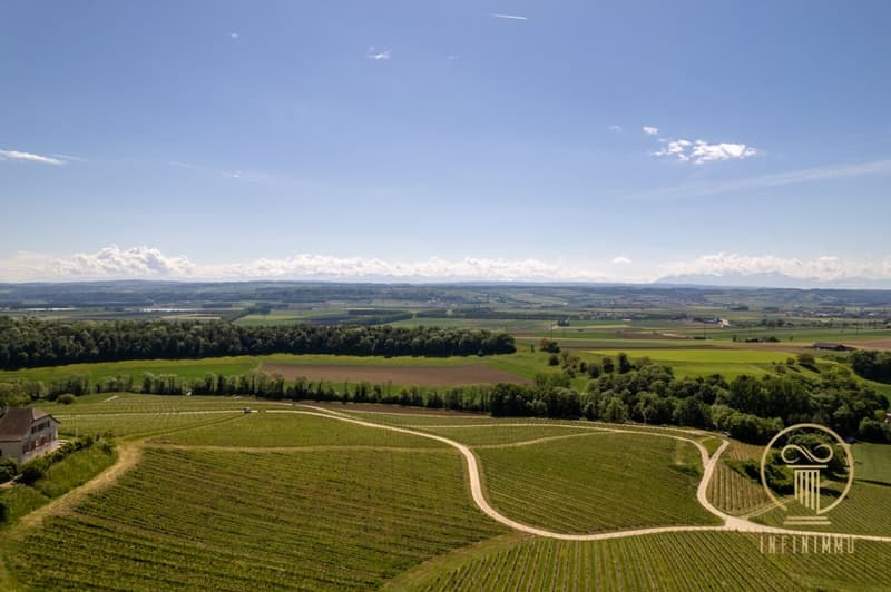 Vue de la plaine de l'Orbe